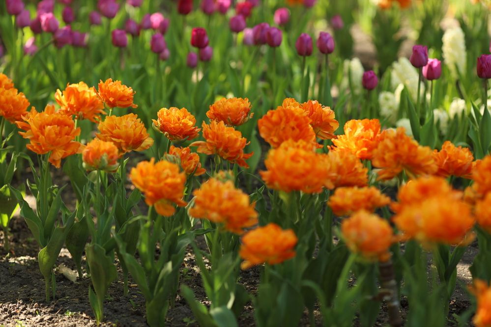 Photograph by Людмила Колесниченко