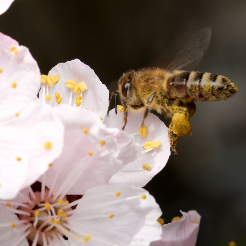 Photograph by Владимир Белобаба