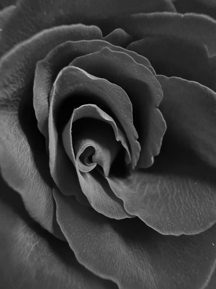 Photograph by Лидия Готовец