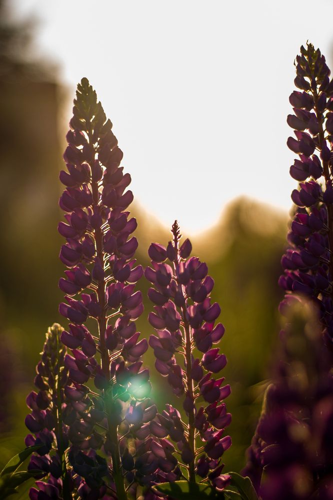 Photograph by Александр Суворов