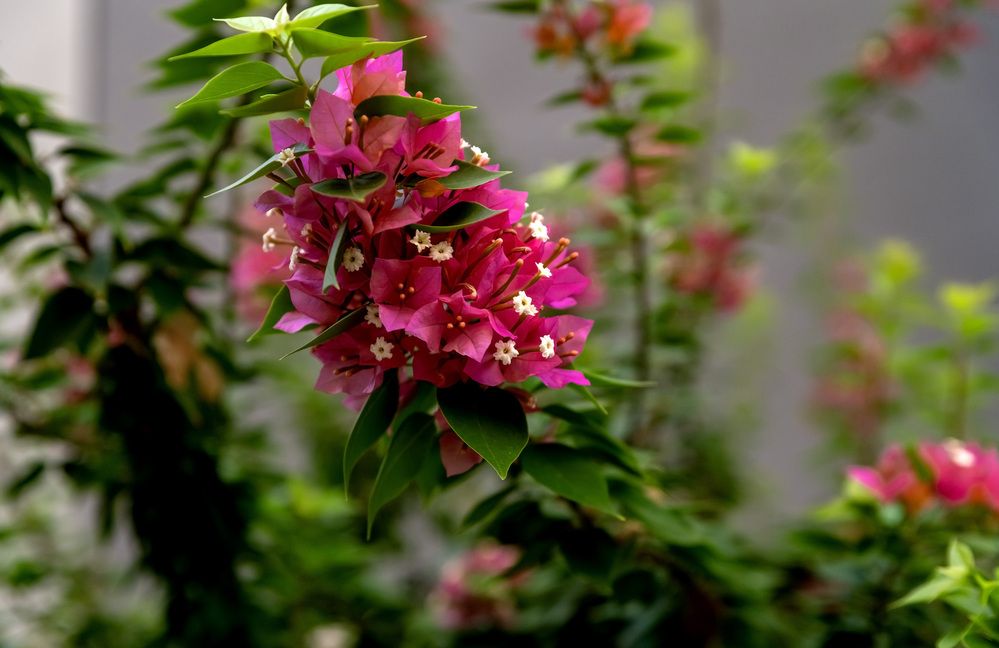 Photograph by Ольга Михайлова