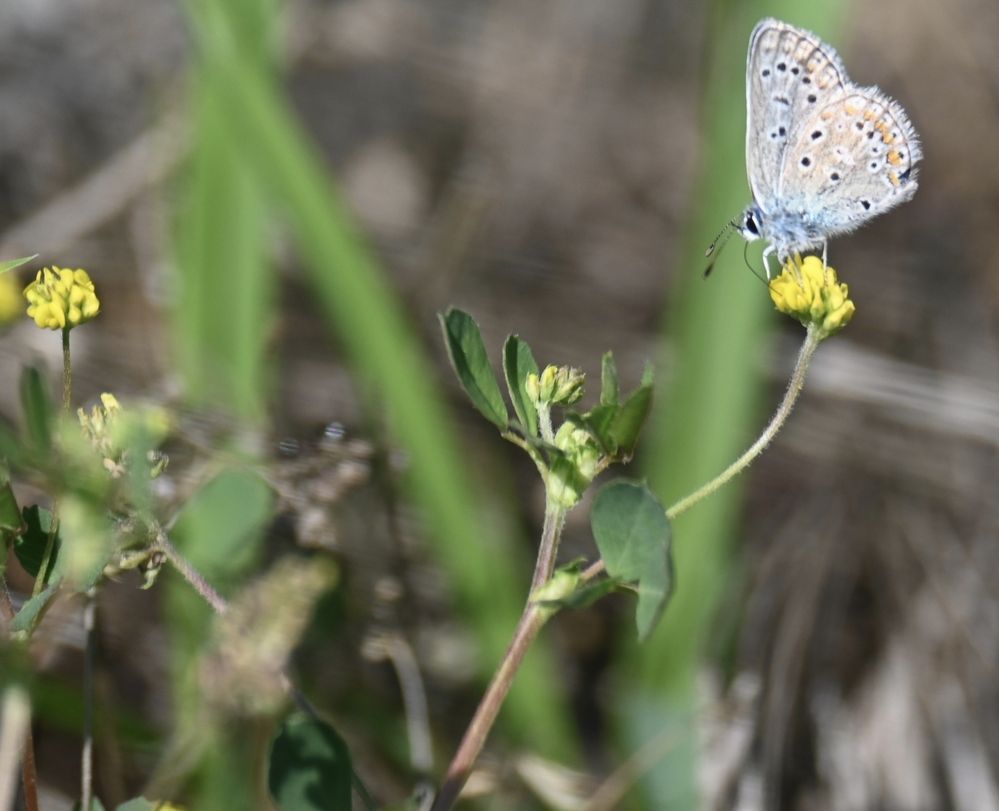 Photograph by Ljiljana Nedeljković
