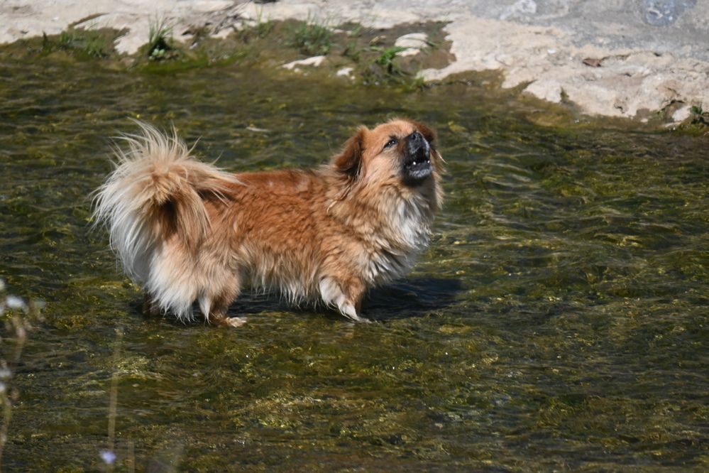 Photograph by Ljiljana Nedeljković