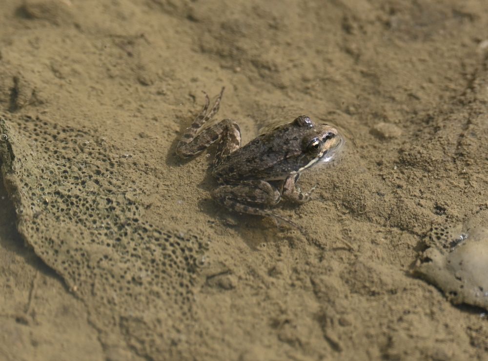 Photograph by Ljiljana Nedeljković