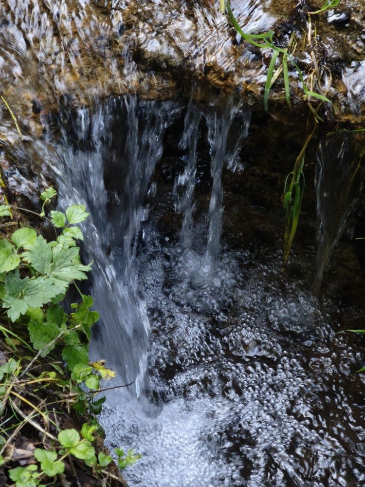 Photograph by Ljiljana Nedeljković