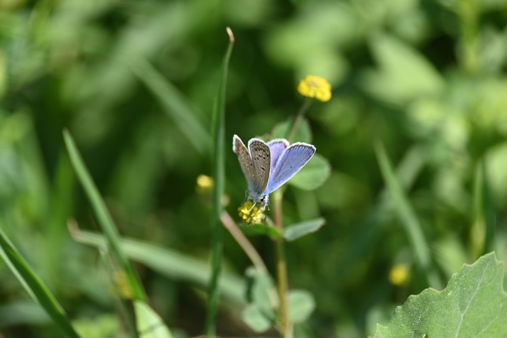 Photograph by Ljiljana Nedeljković