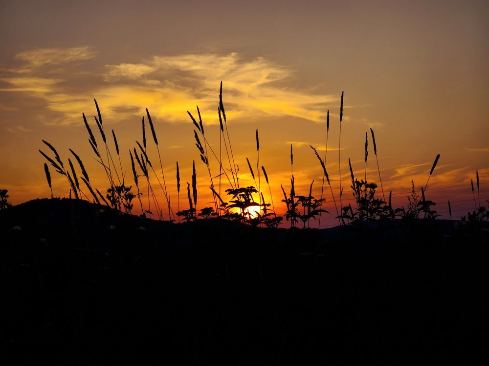 Photograph by Ljiljana Nedeljković