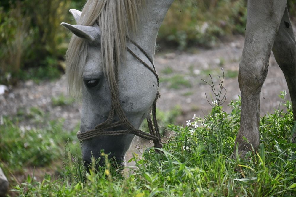 Photograph by Ljiljana Nedeljković