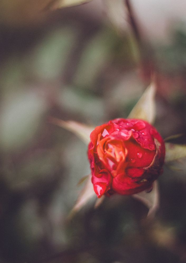 Photograph by Ригина Айдель