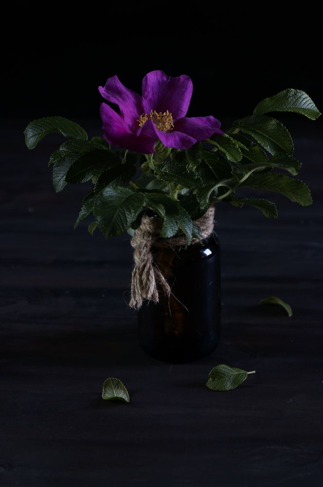 Photograph by Ирина Бондарева