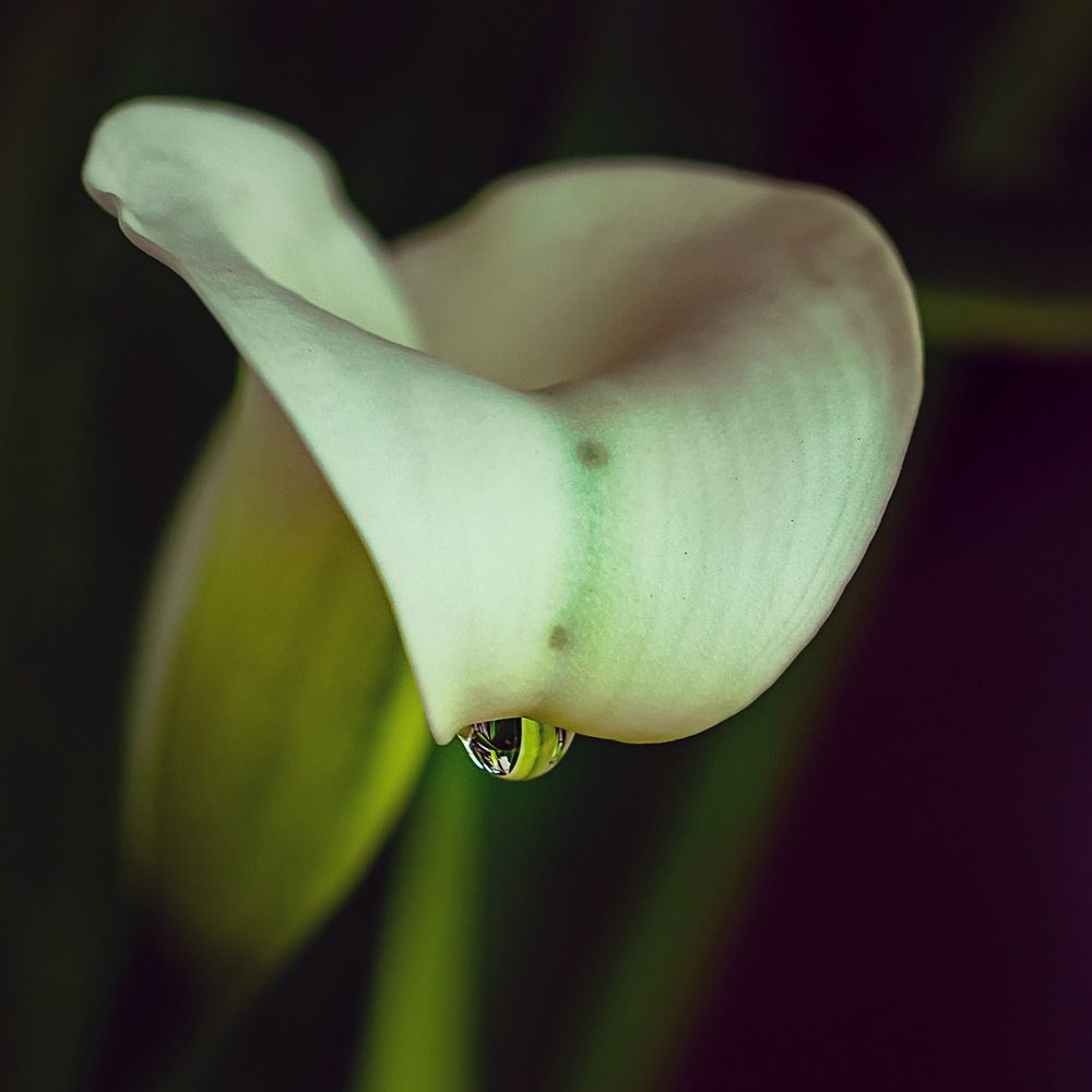 Photograph by Галина Иванова