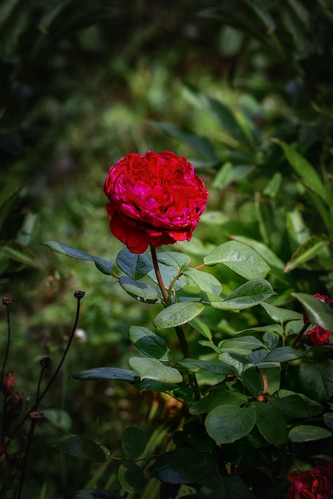 Photograph by Галина Иванова