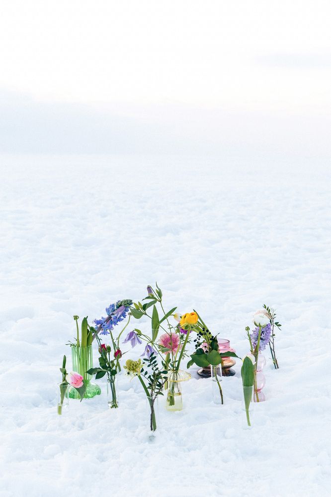 Фотография автора Татьяна Федотова