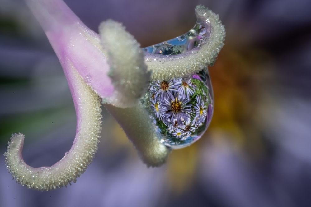 Photograph by Николай Фонарёв