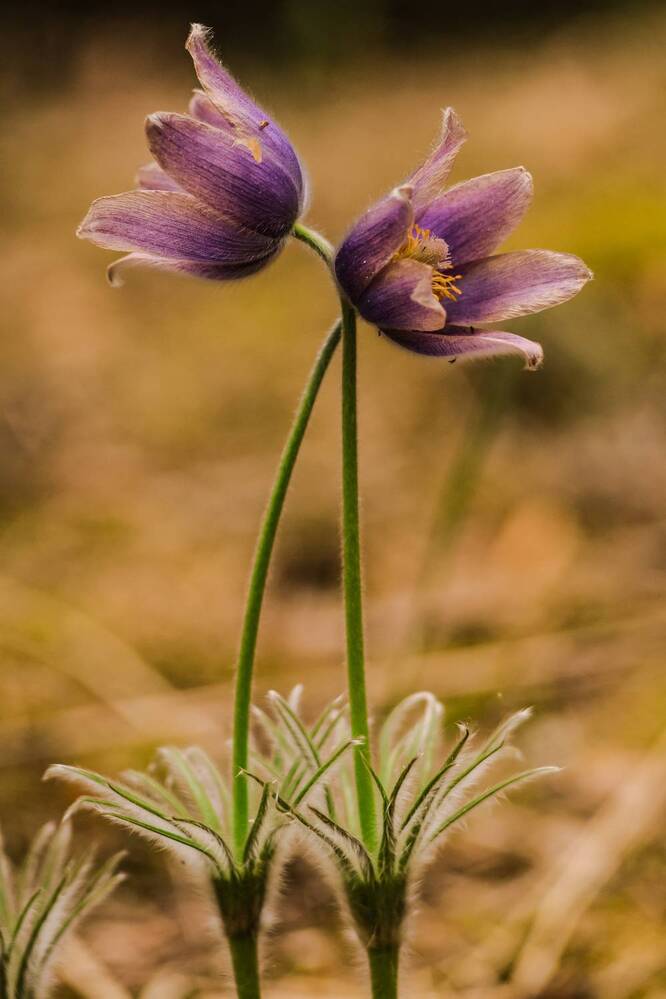 Photograph by Елена Квасова