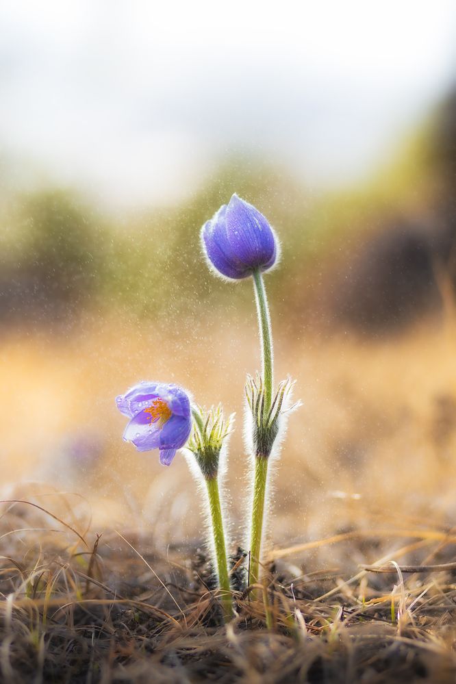 Photograph by Портных Дмитрий