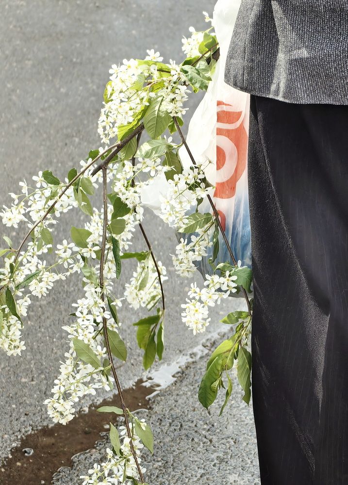 Photograph by Кристина Феминова