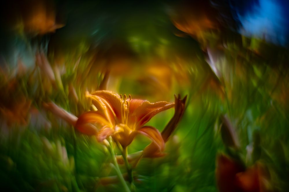 Photograph by Николай Фонарёв