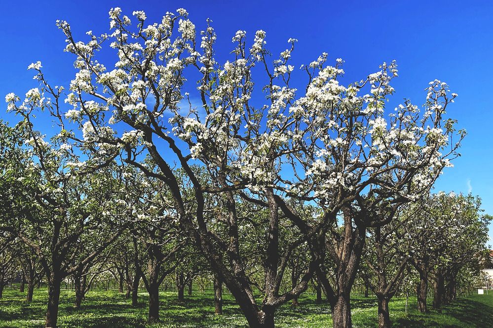 Фотография автора Сергей Демидов