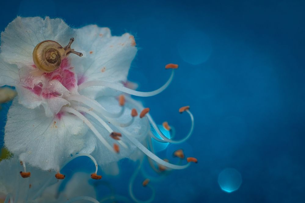 Photograph by Николай Фонарёв