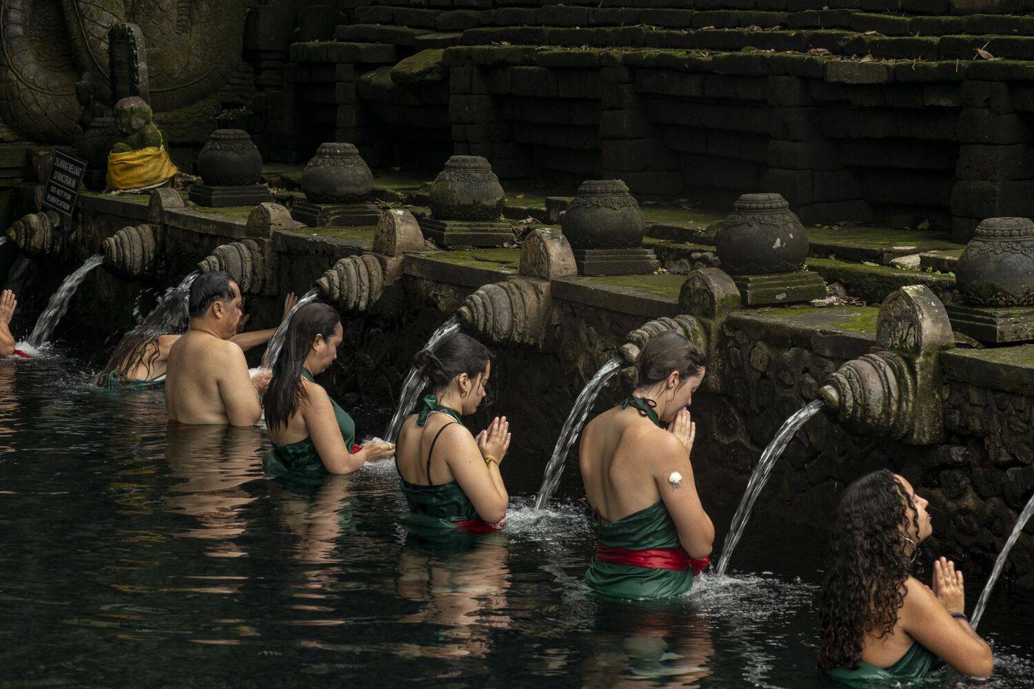 Фотография #12479491