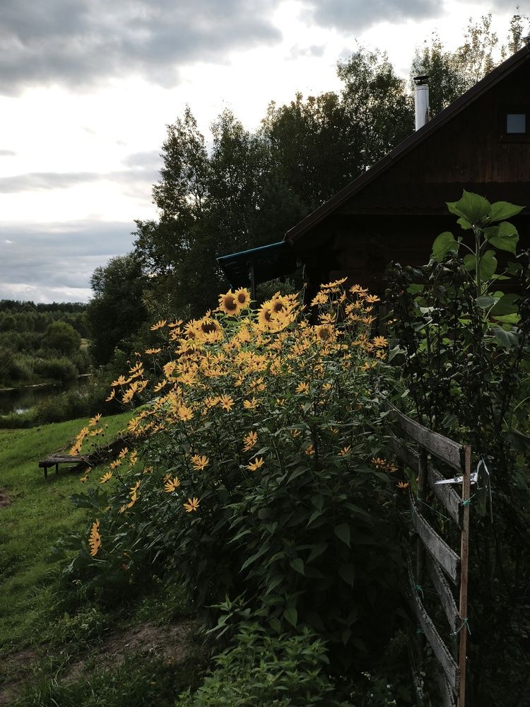 Фотография автора Татьяна Алексеева