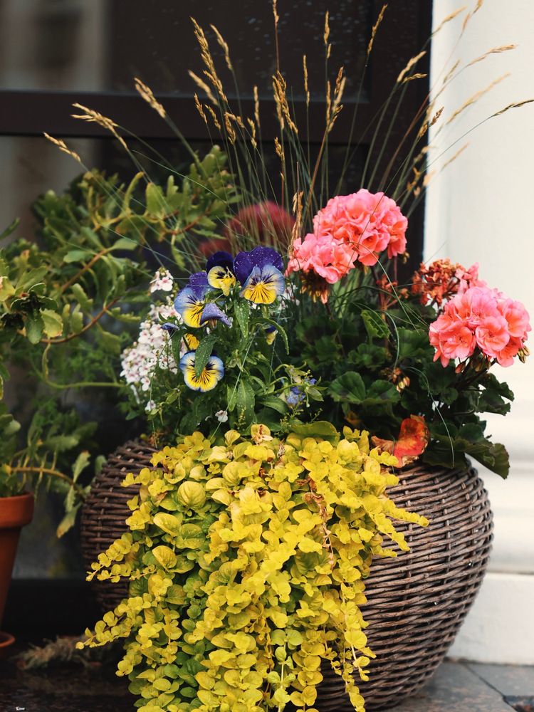 Photograph by Лилия Нуриева