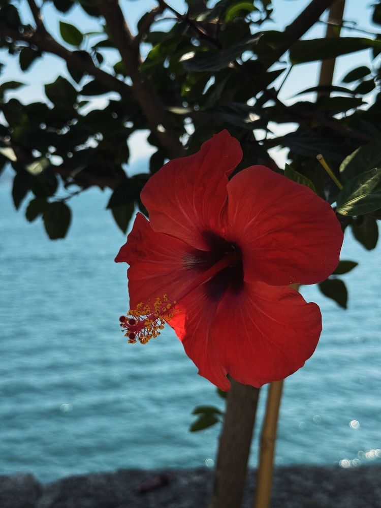 Photograph by Лилия Нуриева