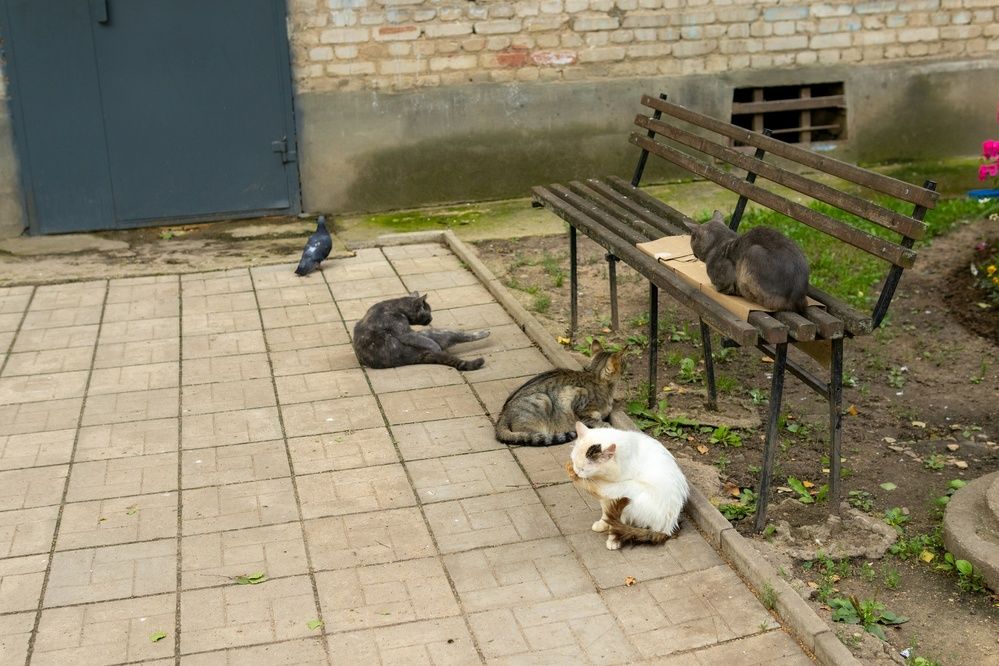 Фотография автора Aamoda Kitchen