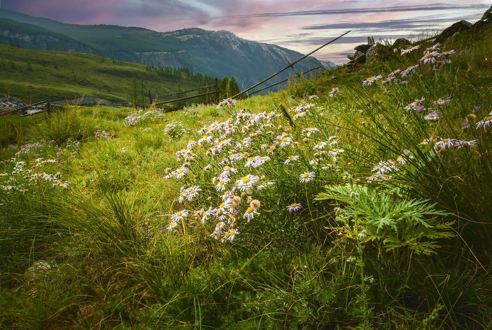 Photograph by Алексей Козлов