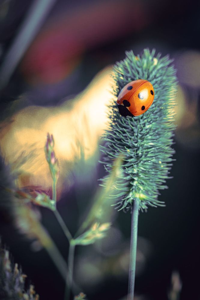 Photograph by Сергей Назаредский