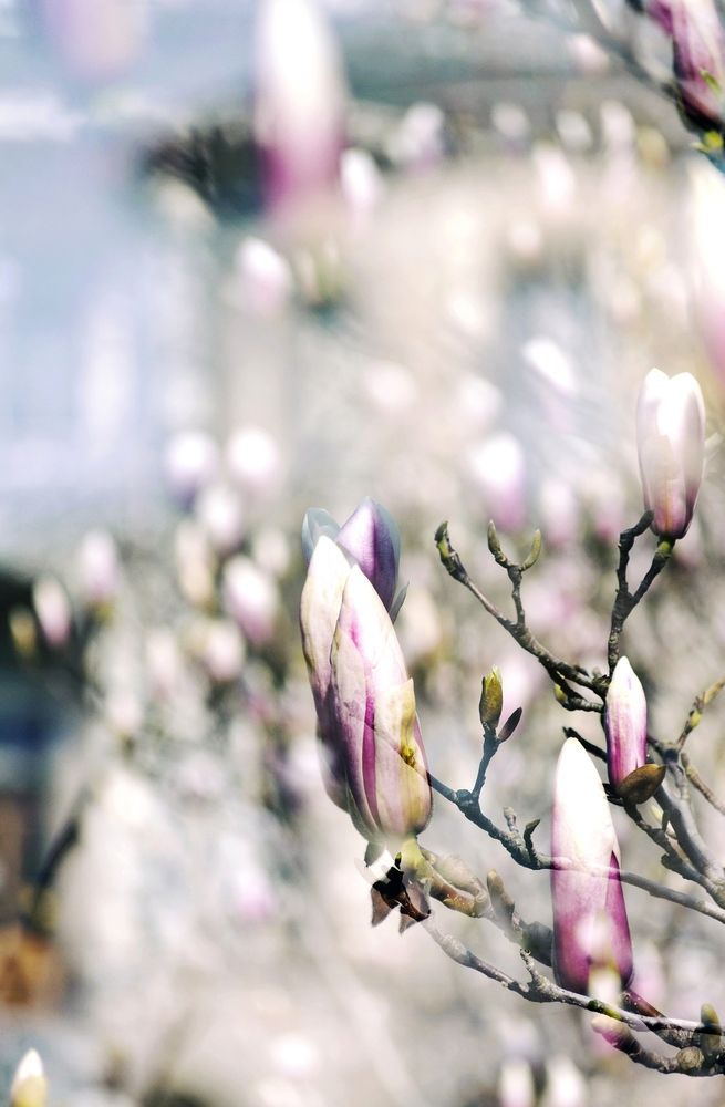 Photograph by Ольга Мальцева