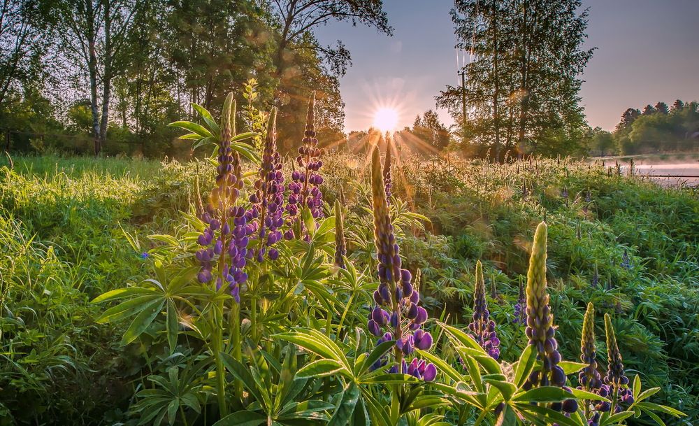 Photograph by Смирнов Валерий
