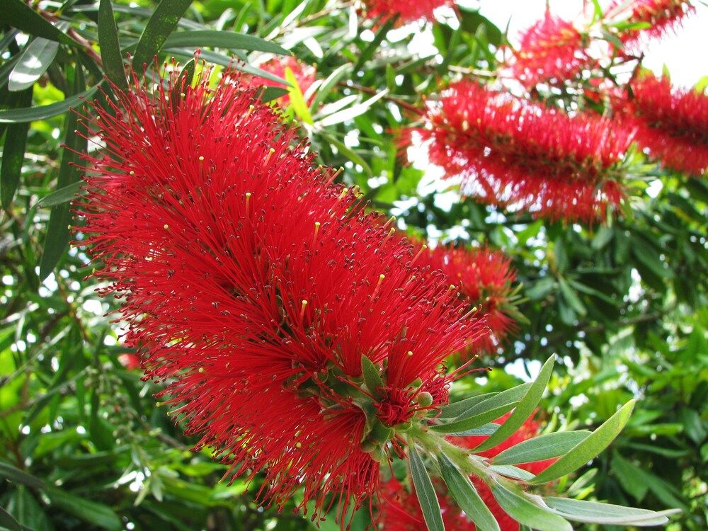 Photograph by Смирнов Валерий