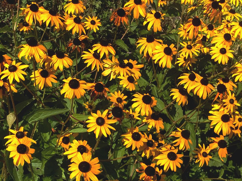 Фотография автора Сергей Демидов