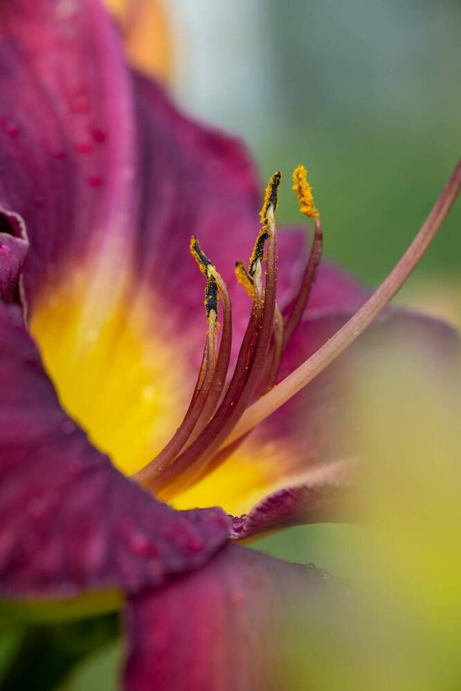 Photograph by Марина