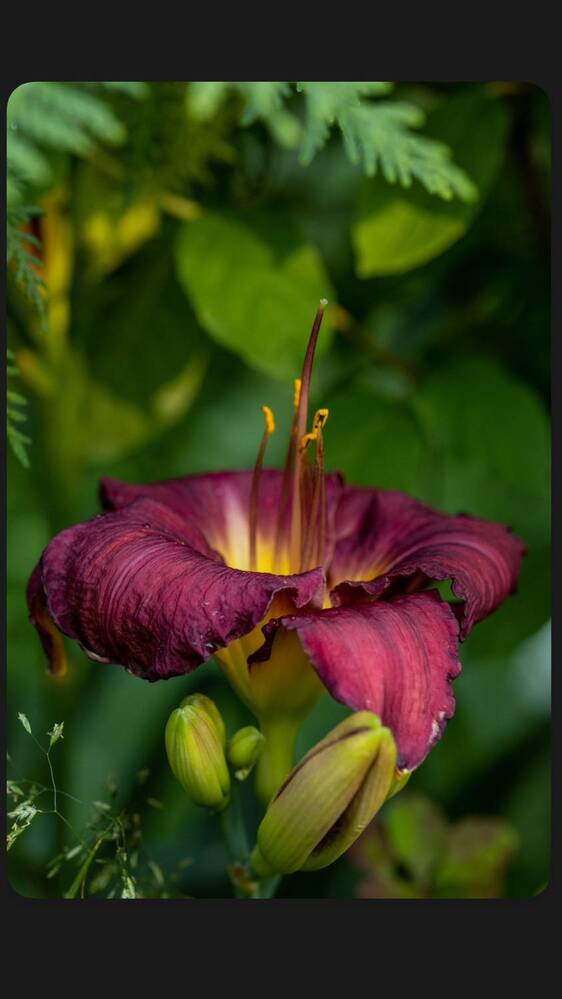 Photograph by Марина