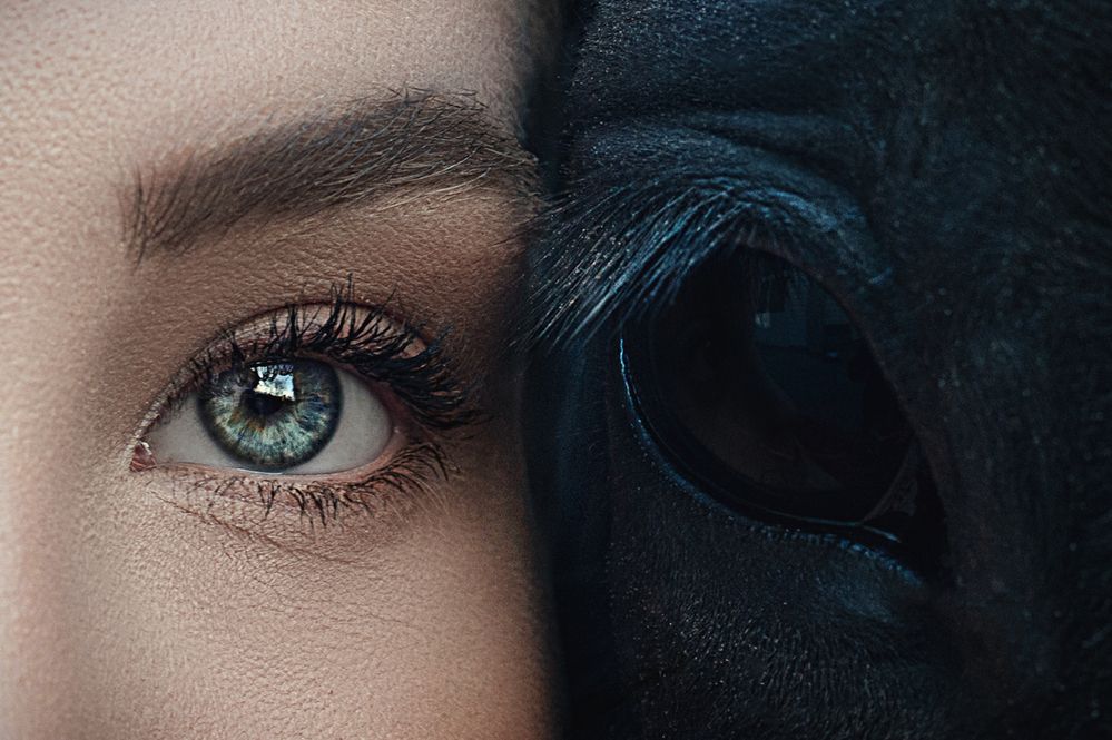 Photograph by Theresa Sujata Senti