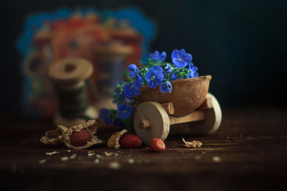 Вероника дубравная