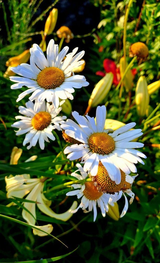 Photograph by Николай Худяков