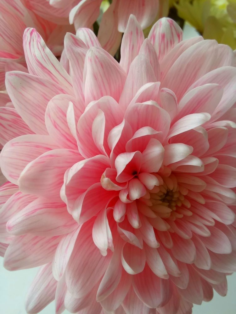 Photograph by Ольга Юрченко