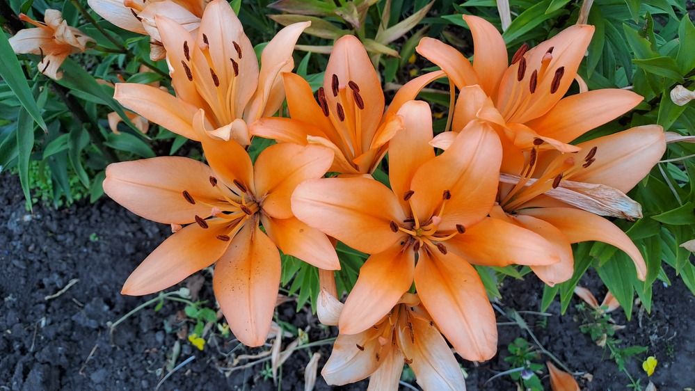 Photograph by Николай Худяков