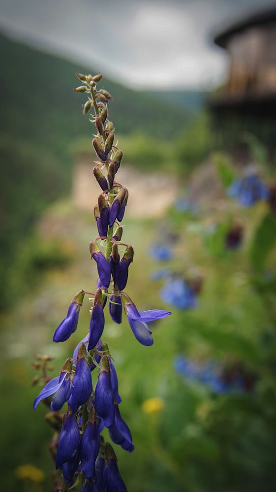 Photograph by Вадим Карпов