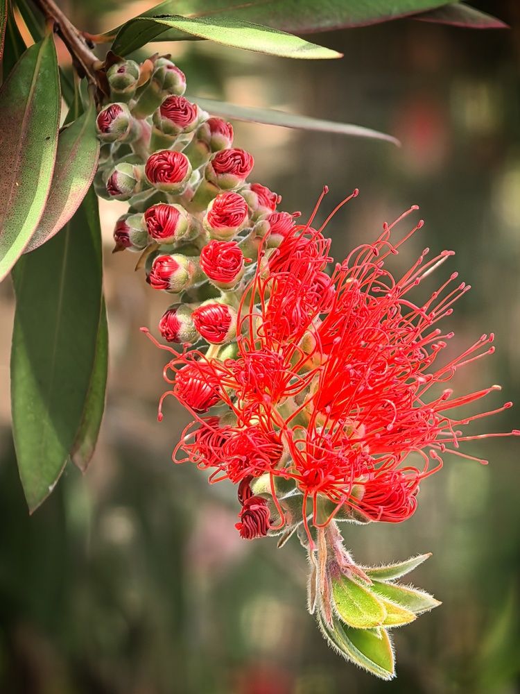Photograph by Кривенко Владимир