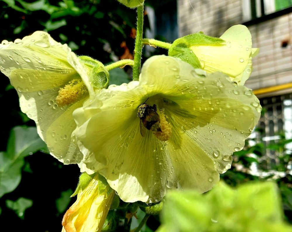 Photograph by Ольга Юрченко