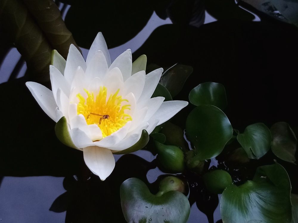 Фотография автора Наталья Визер