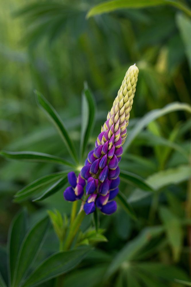 Photograph by Rimma Larkina