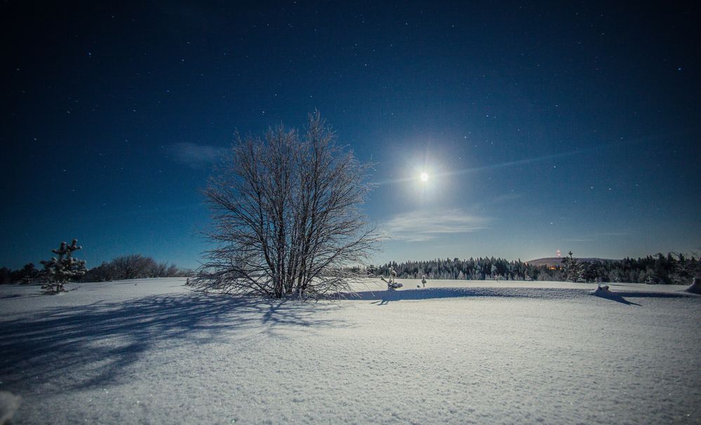 Photograph by Артемий Соловьёв