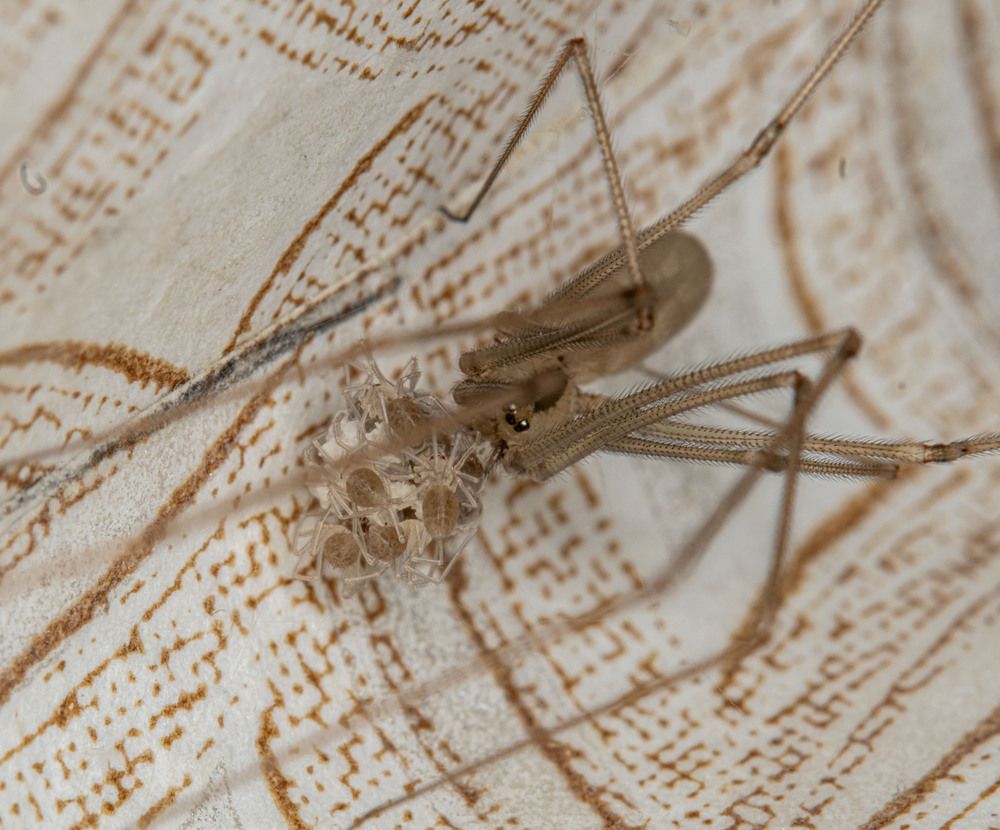 Photograph by Олег Китаев