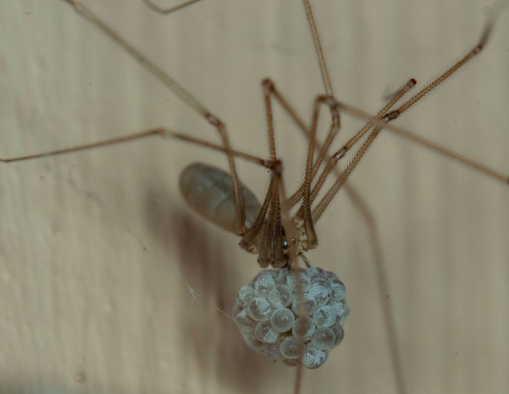 Photograph by Олег Китаев